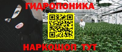 сатива Кулебаки