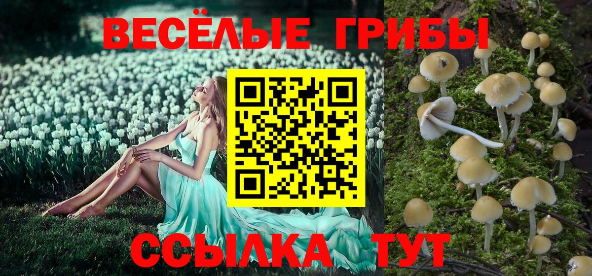 Галлюциногенные грибы мухоморы Дзержинский